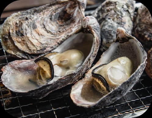 真牡蠣